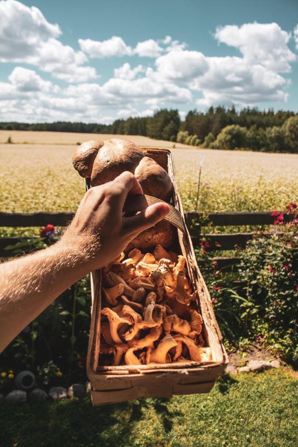 Lesna 21 Dom Poludnie Przy Puszcza Bialowieska